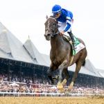 Sovereignty Tops Power Rankings of 2025 Breeders’ Cup Classic Contenders